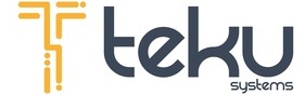 Teku Systems